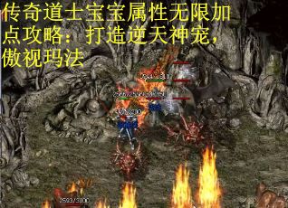 传奇道士宝宝属性无限加点攻略：打造逆天神宠，傲视玛法