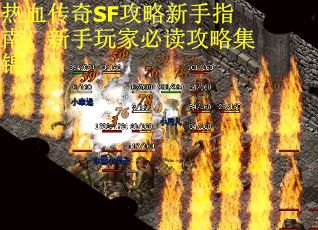 热血传奇SF攻略新手指南：新手玩家必读攻略集锦