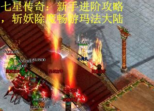 七星传奇：新手进阶攻略，斩妖除魔畅游玛法大陆